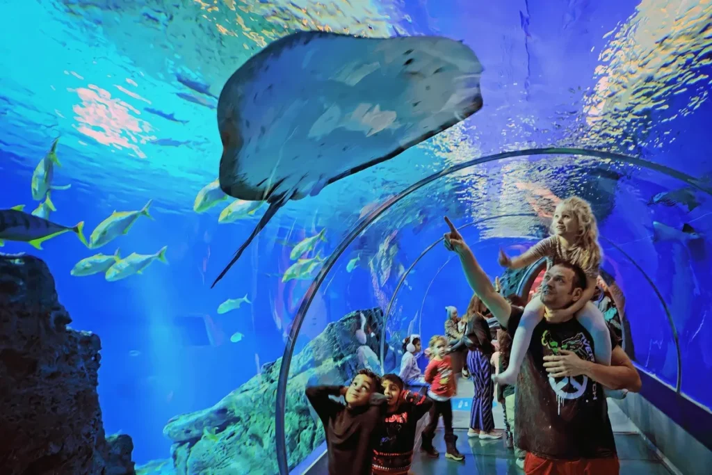 BEST Things to Do in Abu Dhabi