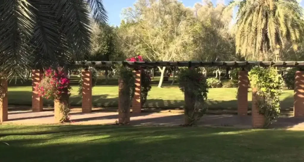 best places to visit in sharjah