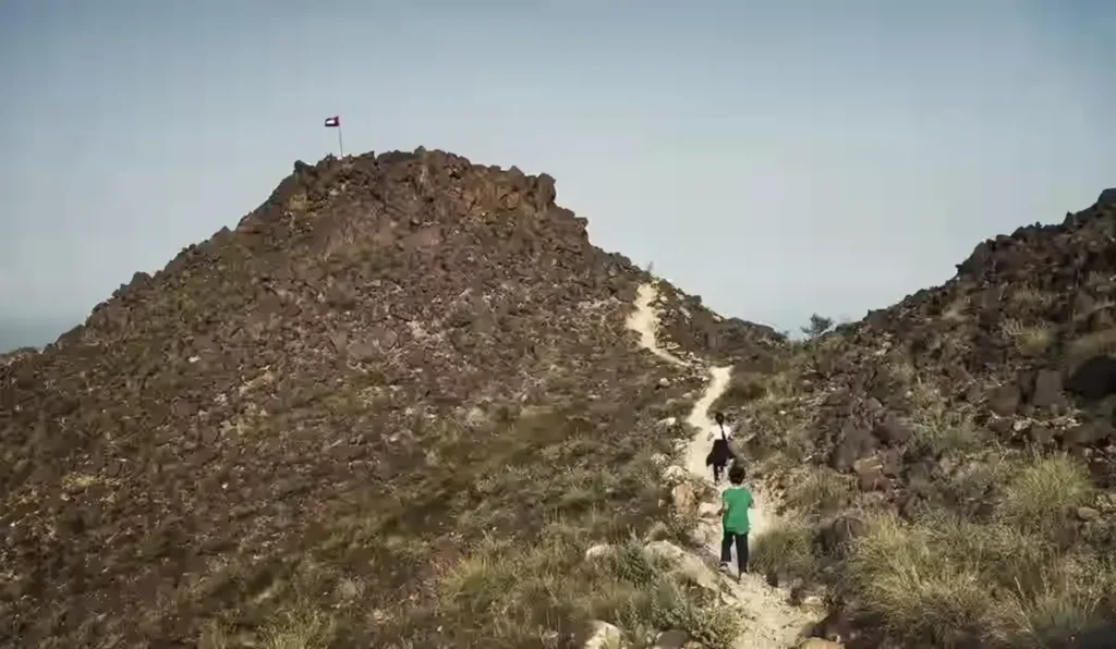 Things To Do in Sharjah