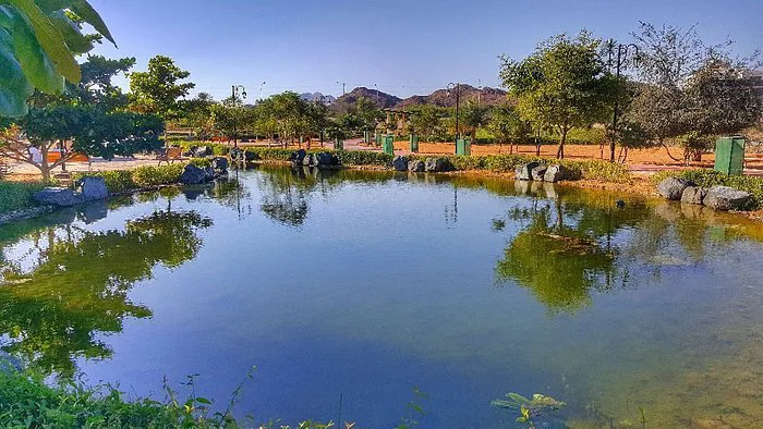 al wadi park