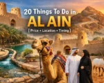 things to do in al ain