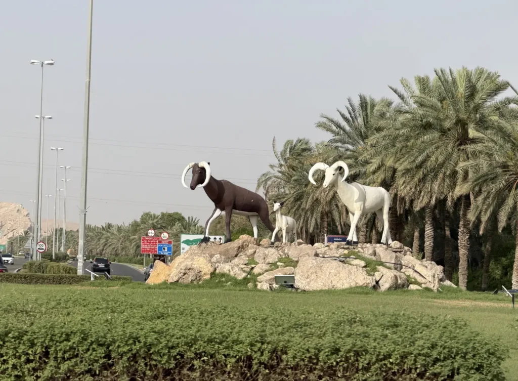 Al Ain View