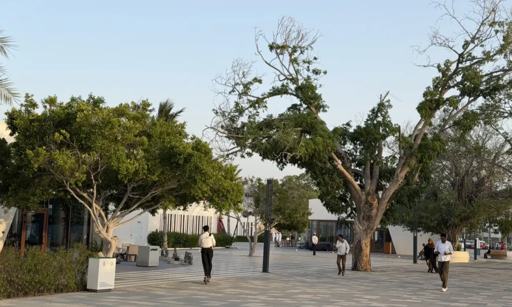 khor fakkan sidewalk