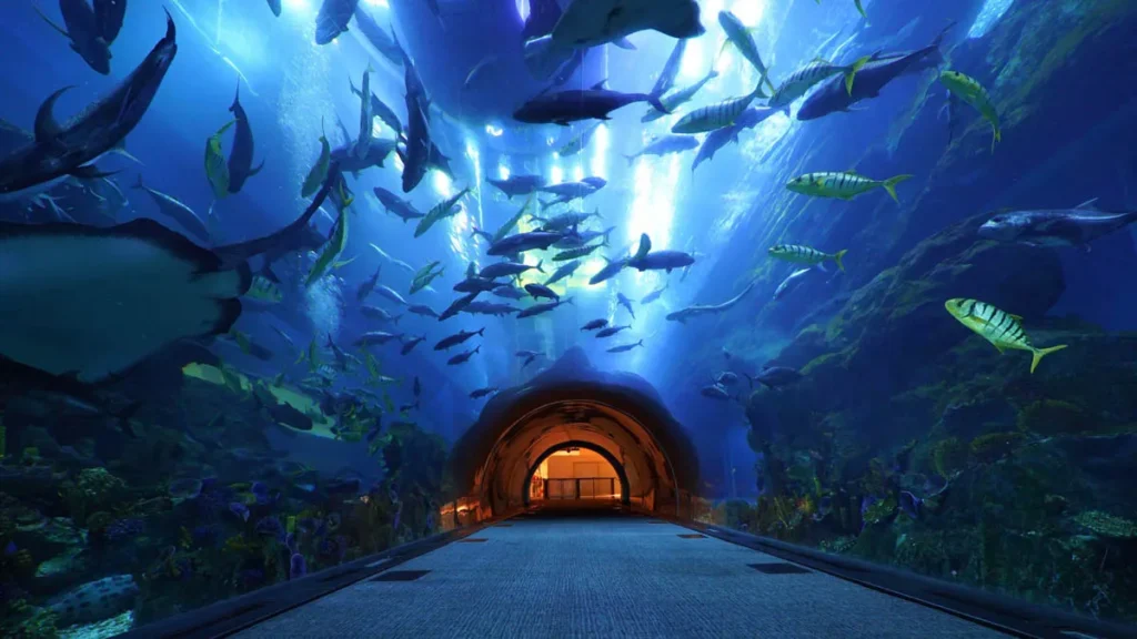 Places to Visit in Dubai