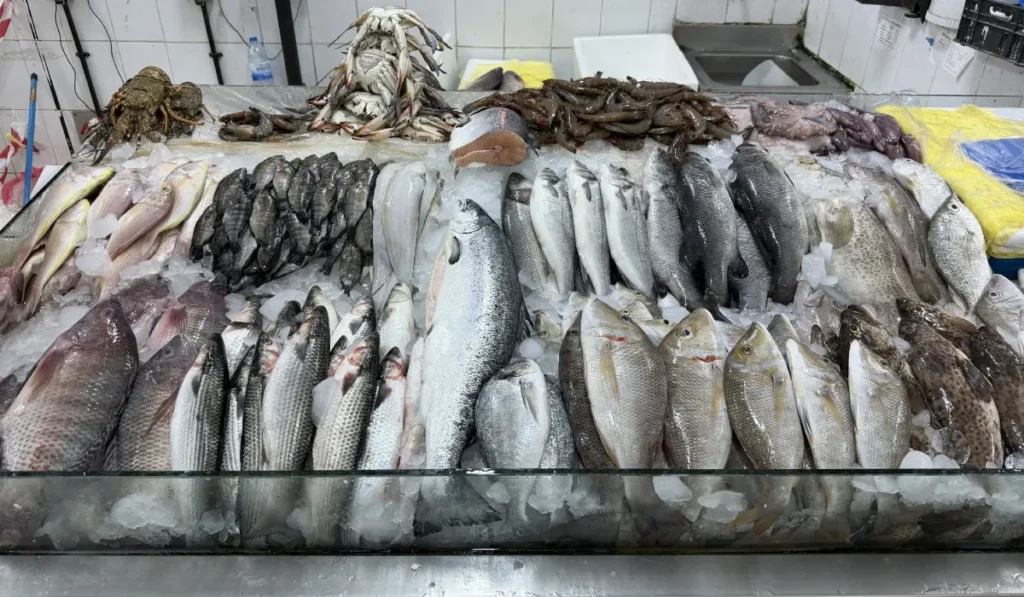 Ajman Catching Fish